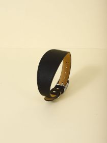 New Pet Casual Adjustable Collar (Option: Black-M)