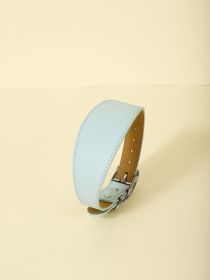 New Pet Casual Adjustable Collar (Option: Light Blue-S)